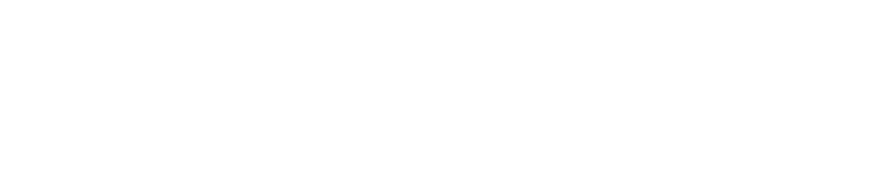 Vinix Infotech Logo
